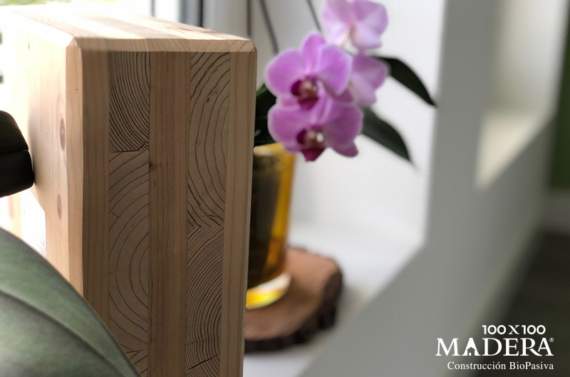 Casa-biopasiva-100x100madera-2018-29 Casa-biopasiva-100x100madera-2018-29