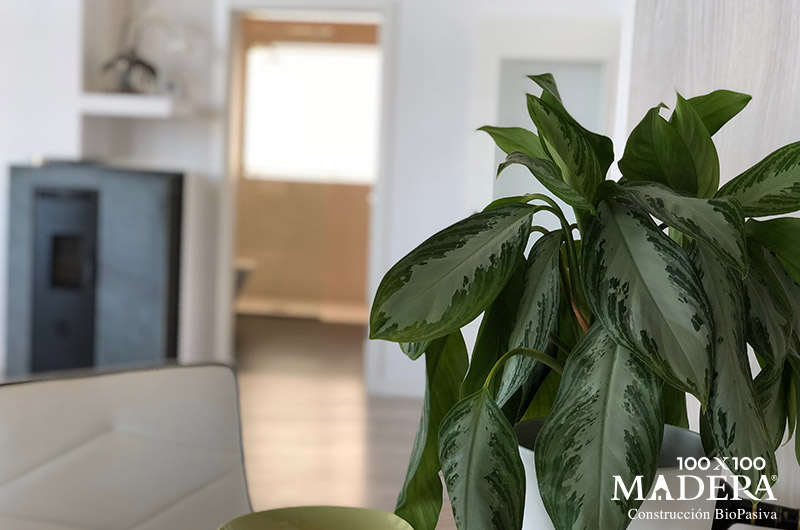 Casa-biopasiva-100x100madera-2018-36