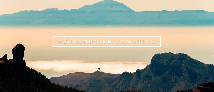 Web-100x100madera-Canarias